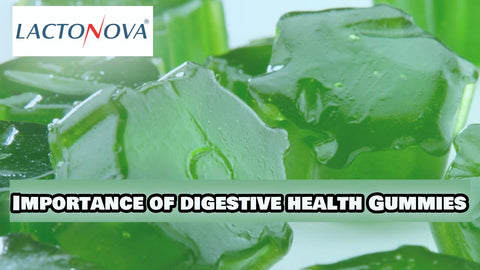 Importance of digestive health Gummies